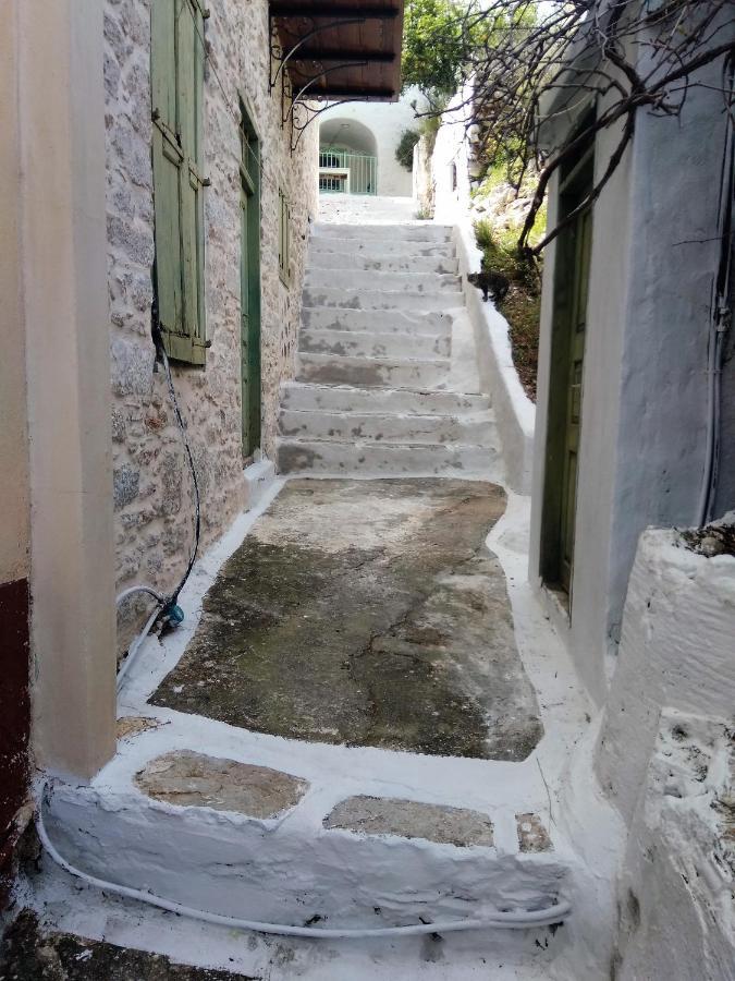 Grandma'S House Apartment Symi Bagian luar foto
